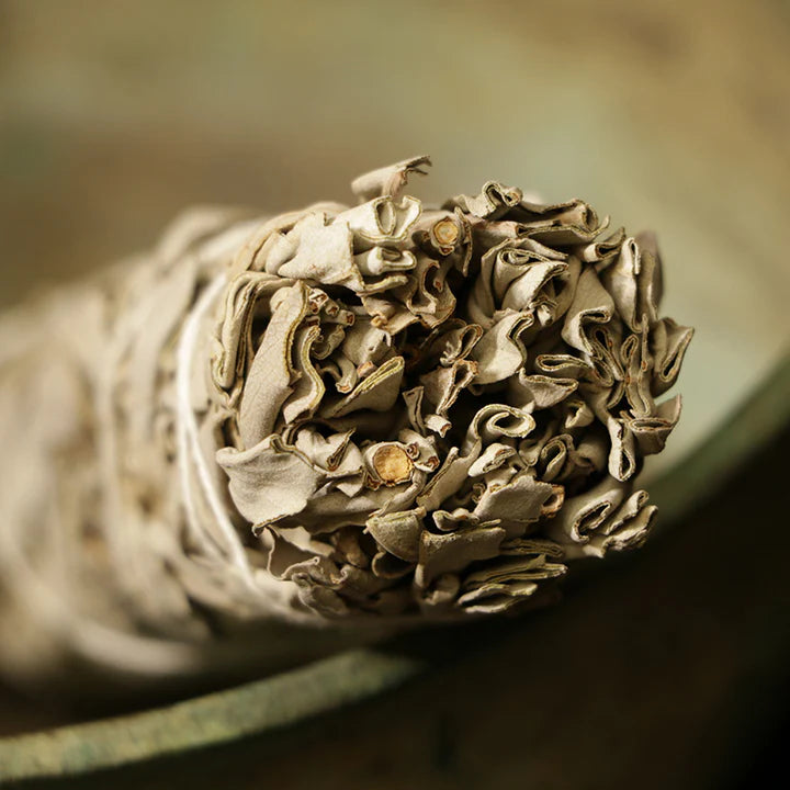 White Sage Smudge Sticks - For Cleansing Negativity